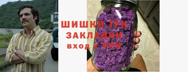 прущие грибы Баксан