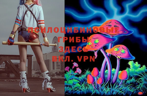 прущие грибы Баксан