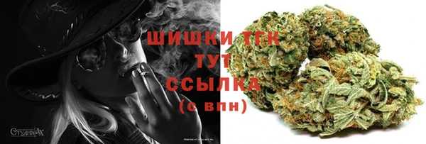 прущие грибы Баксан