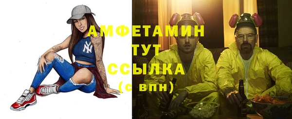 прущие грибы Баксан