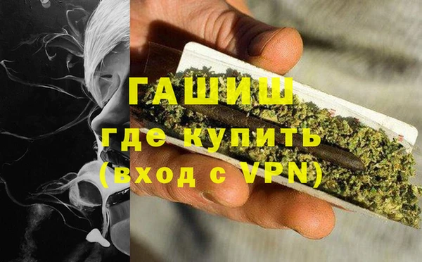 прущие грибы Баксан