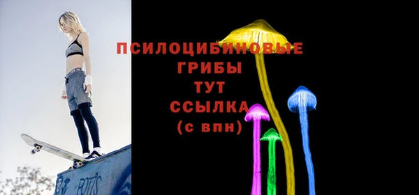 прущие грибы Баксан