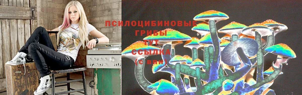 ECSTASY Балахна