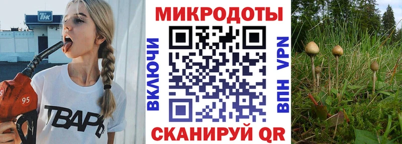 Псилоцибиновые грибы MAGIC MUSHROOMS  Покровск 